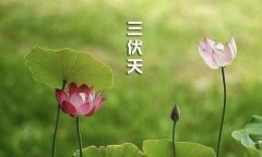 蘇州國(guó)醫(yī)堂中醫(yī)教你如何在三伏天養生